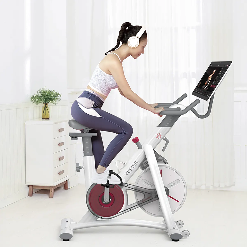 Exercise Bike S3