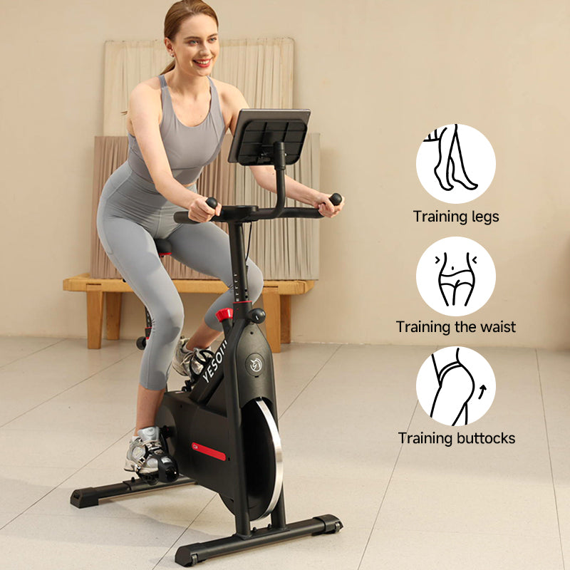 Exercise Bike C1A