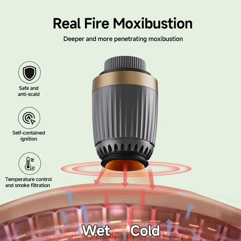 Electronic moxibustion (TCM) CL-MX