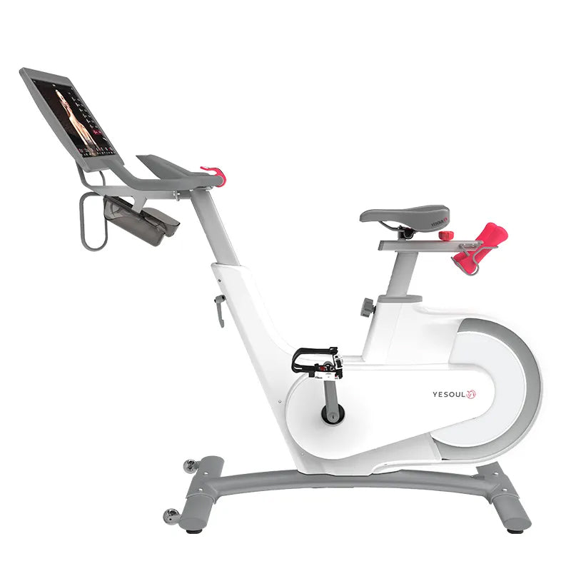 Exercise Bike V1 plus