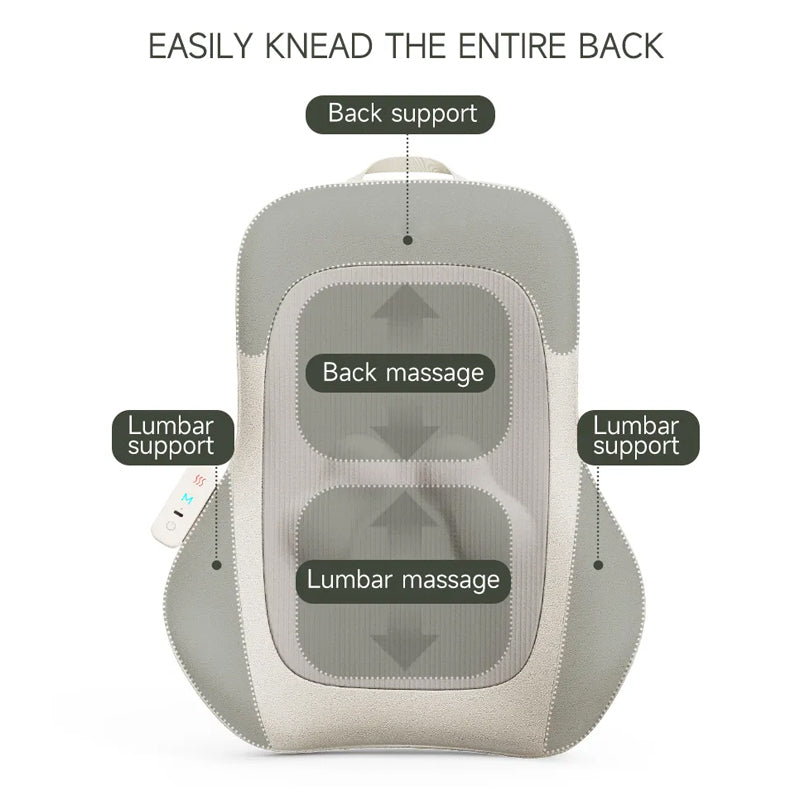 Waist and back massage CL-310B