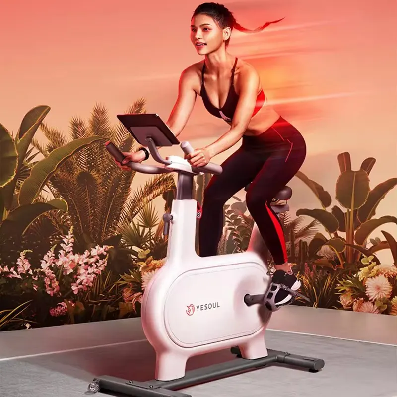 Exercise Bike M2