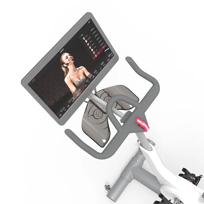 Exercise Bike V1 plus